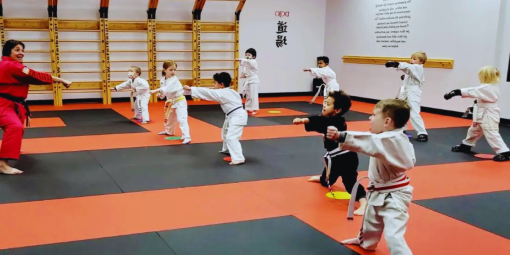 What Does Dojo Mean?