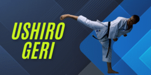 Ushiro Geri-Back Kick