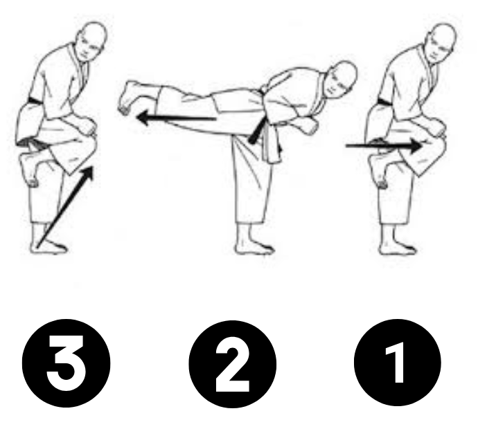What is Ushiro Geri?